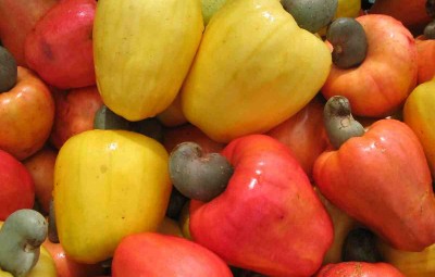 cashew-fruits